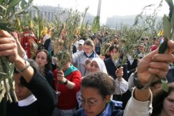 Domenica delle Palme in piazza San Pietro