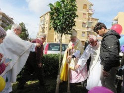 Mons. Urso pone a dimora una pianta d'arancio in via Ludovico Ariosto