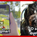 campagna cani  disugual