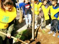 San Cristoforo 1 La messa a dimora ad opera degli alunni