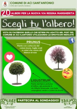 sondaggio alberi