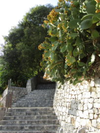 Ragusa Ibla monumenti ristoranti scale percorso pedonale