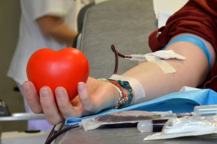 donazione sangue Fidas