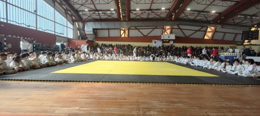 Ju-Jitsu atleti partecipanti