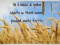 V Domenica Quaresima  chicchi di grano