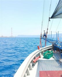 Stretto di Messina, pesca