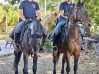 polizia a cavallo