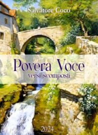 copertina Povera voce