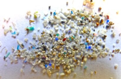 microplastiche ricerca plastica