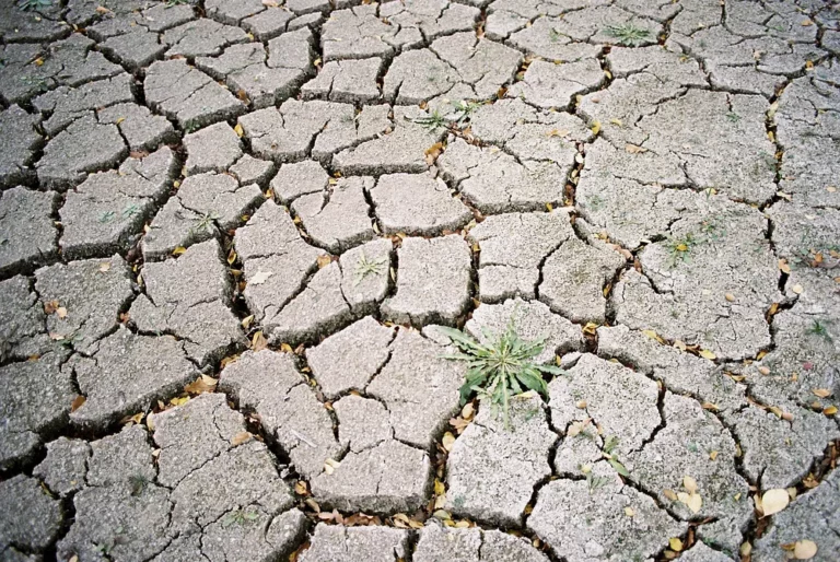 siccità siciliana terreno