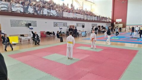 Edukarate cup