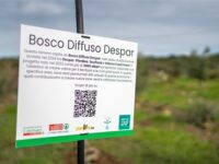 bosco diffuso Despar 2024