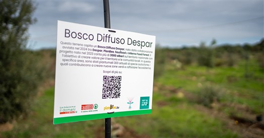 Bosco diffuso Despar 2024