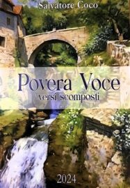 Povera voce, copertina