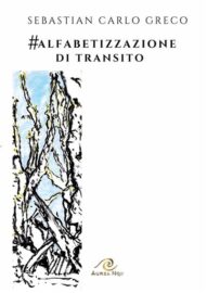 copertina libro Alfabetizzazione di transito