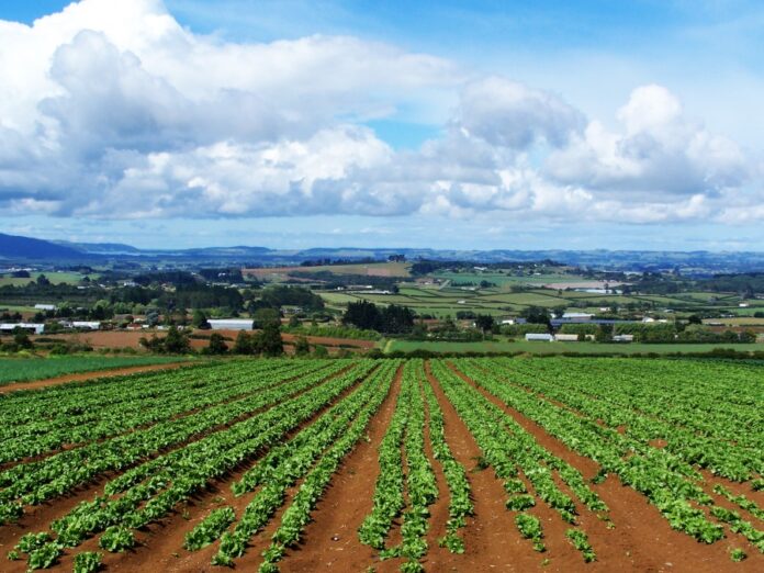 Agroecologia in Sicilia