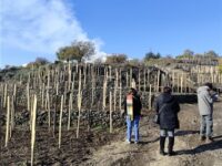 passeggiata tra i vigneti