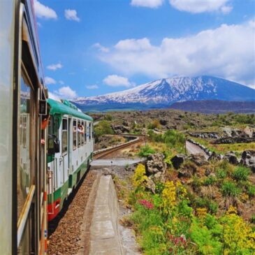 tour vini dell'Etna