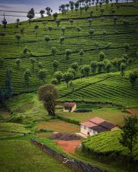 Discovering Rural Sicily