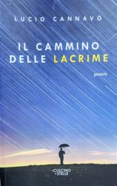 Copertina Il cammino delle lacrime