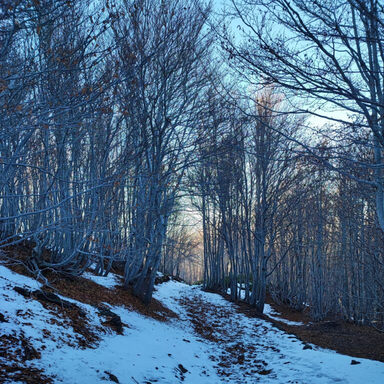 Etna / La Faggeta Timparossa, tra i colori autunnali e la prima neve